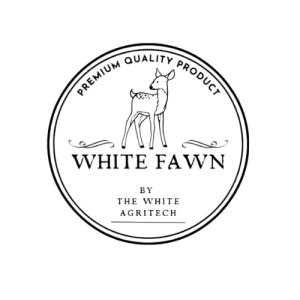 Untitled design - 2024-04-11T180439.401